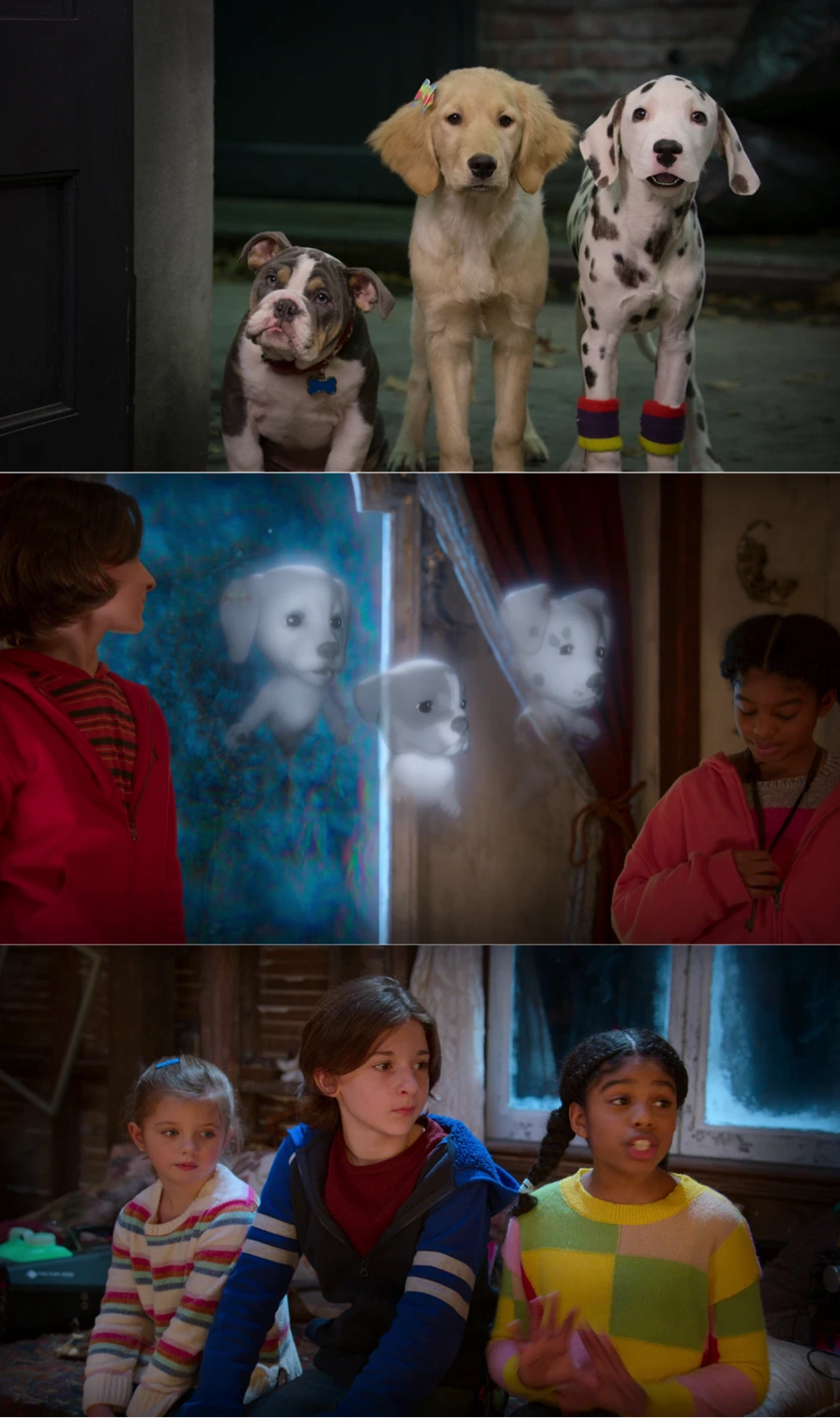 Download Phantom Pups | 2022 | Season 1 Complete Dual Audio {Hindi-English} Web Series | 480p 720p 1080p