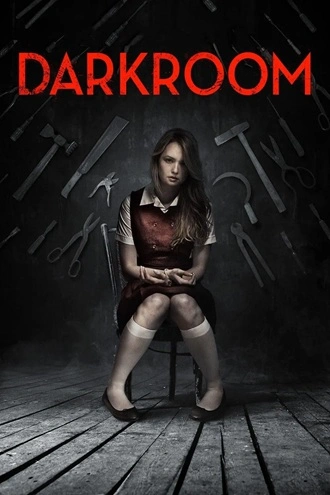 Download Darkroom | 2013 | Hindi-English | Dual Audio | BluRay | Full Movie 480p 720p 1080p