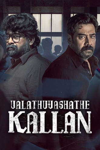 Download Valathu Vashathe Kallan | 2026 | Hindi (DD2.0) & Malayalam | WEB-DL | Dual Audio | Full Movie 480p 720p 1080p
