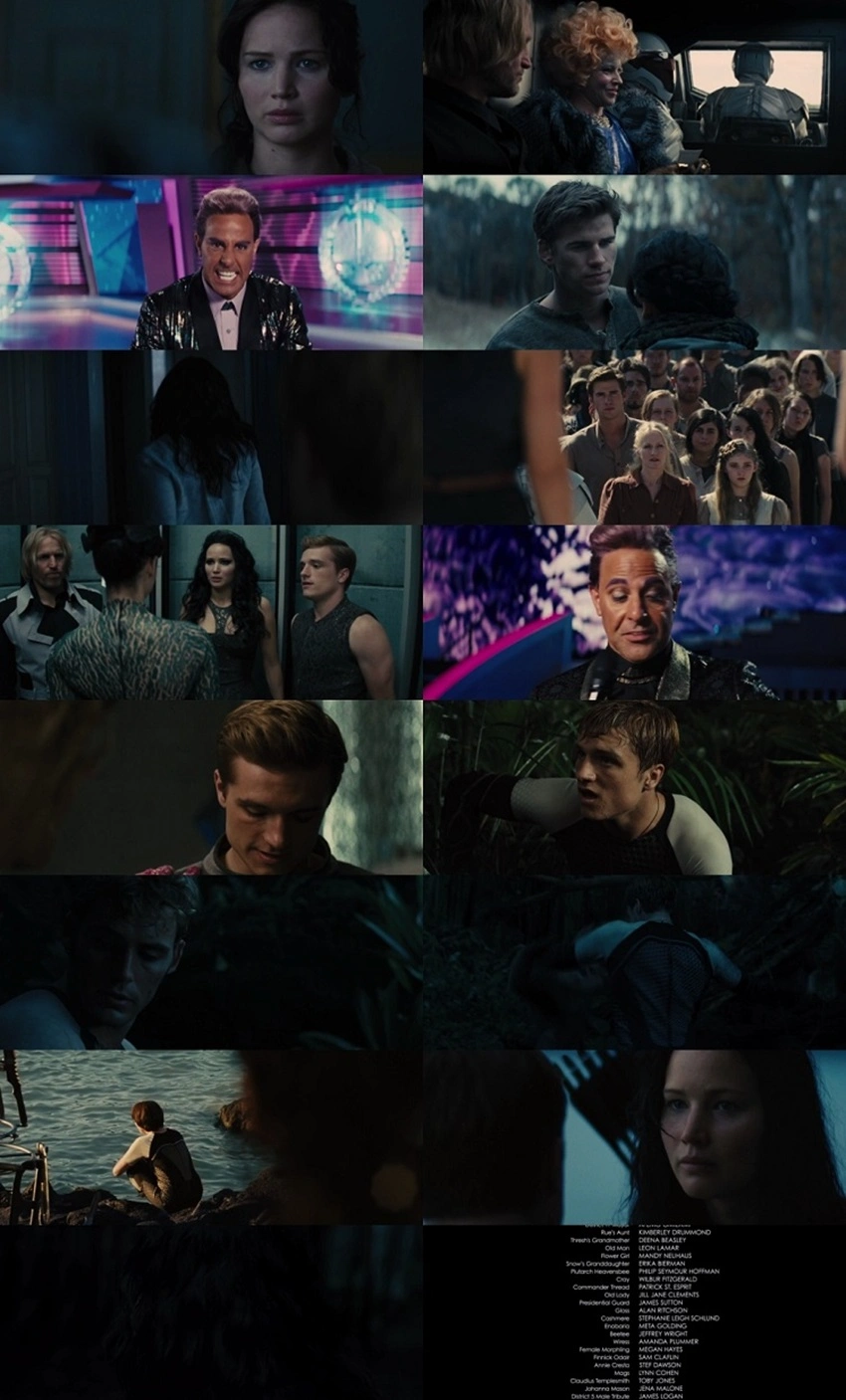 Download The Hunger Games: Catching Fire (2013) Hindi Dubbed & English BluRay 480p 720p 1080p