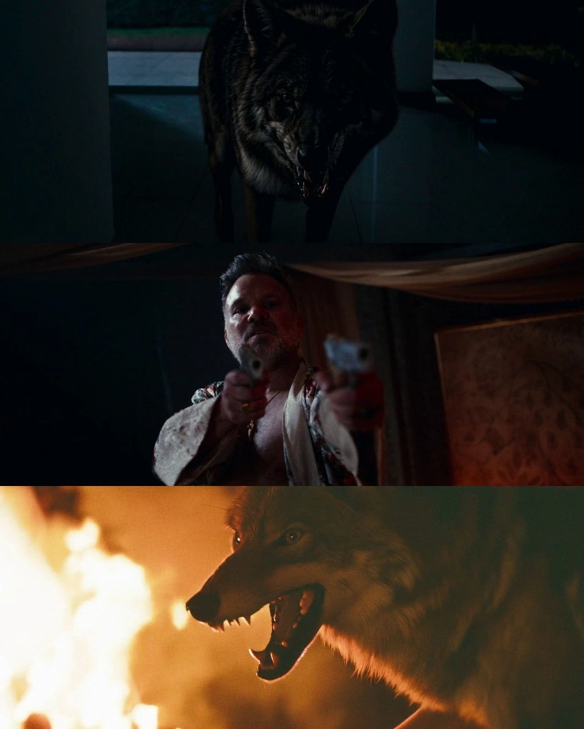 Download Coyotes (2025) Hindi-English BluRay 480p 720p 1080p