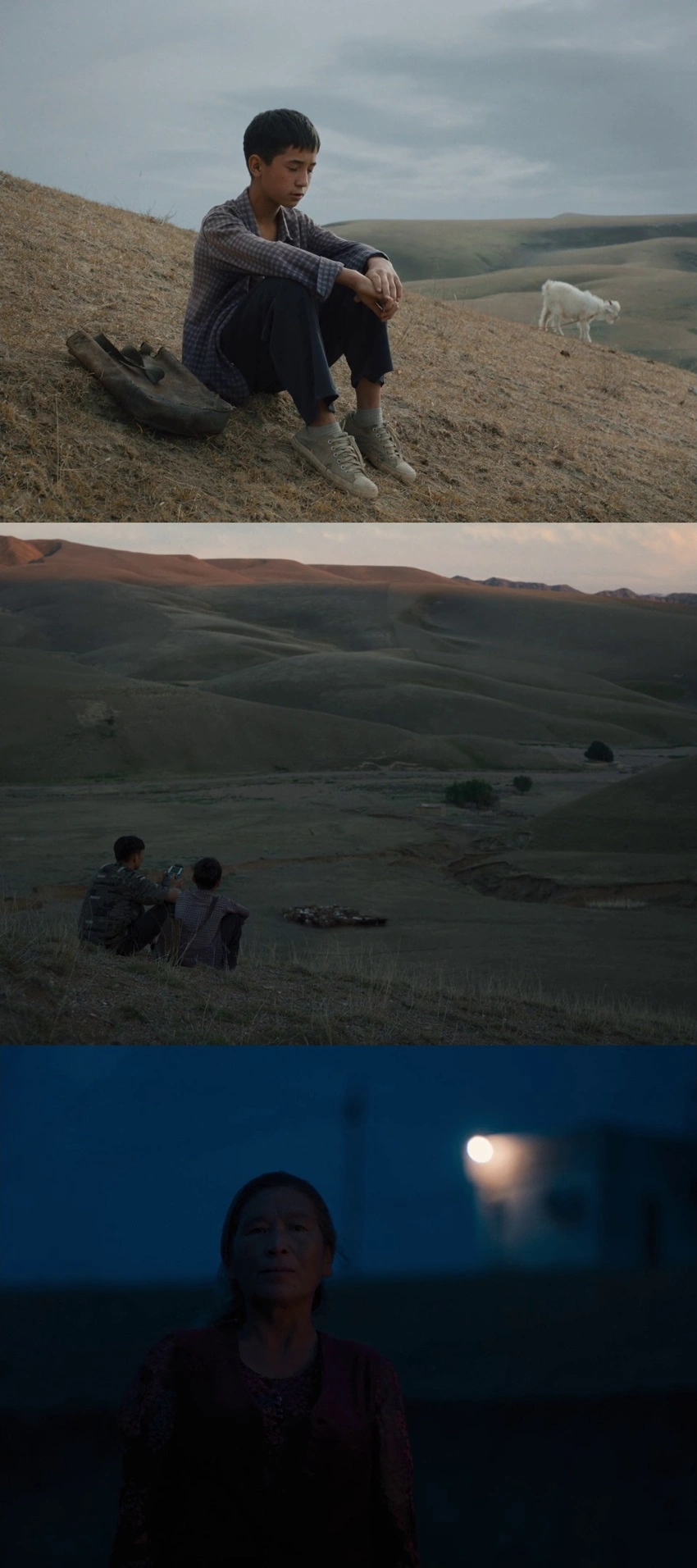 Download The Botanist (2026) Hindi-Kazakh WEB-DL 480p 720p 1080p