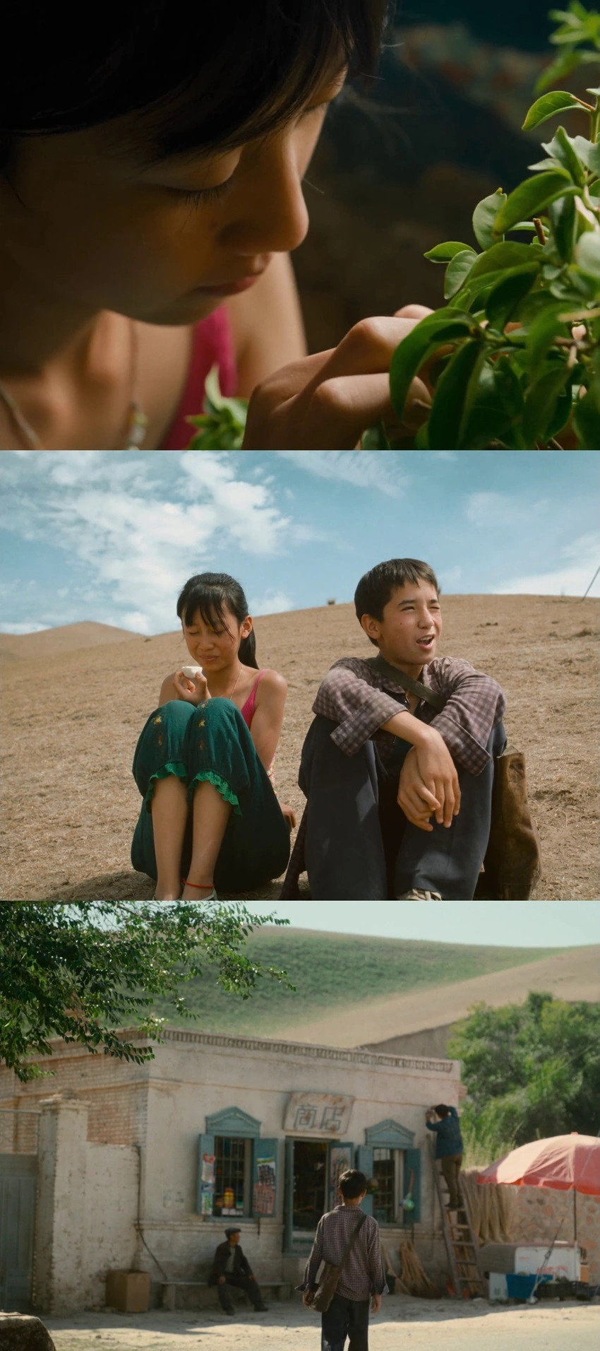 Download The Botanist (2026) Hindi-Kazakh WEB-DL 480p 720p 1080p