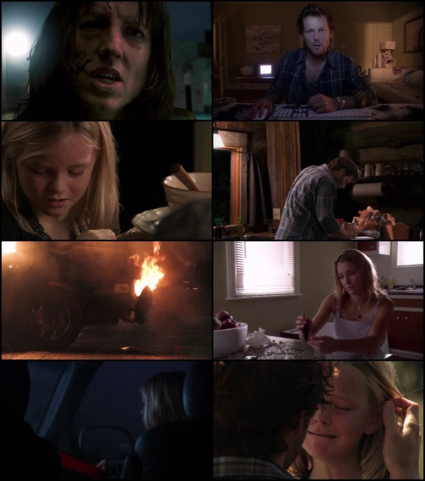 Download Pulse 2: Afterlife | 2008 | Hindi-English | BluRay | Dual Audio | Full Movie 480p 720p 1080p