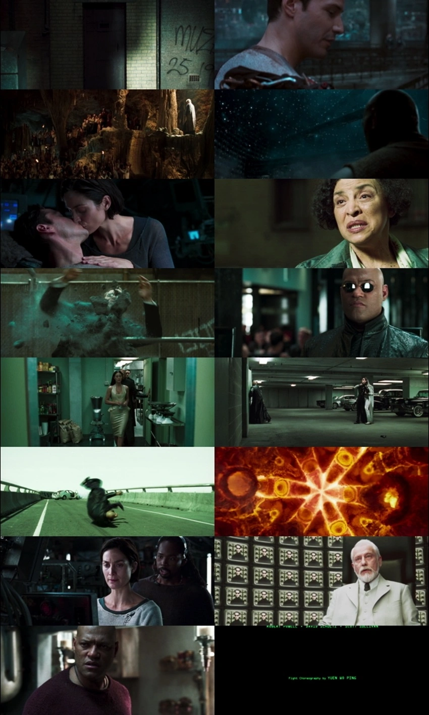 Download The Matrix Reloaded (2003) Hindi & English BluRay 480p 720p 1080p