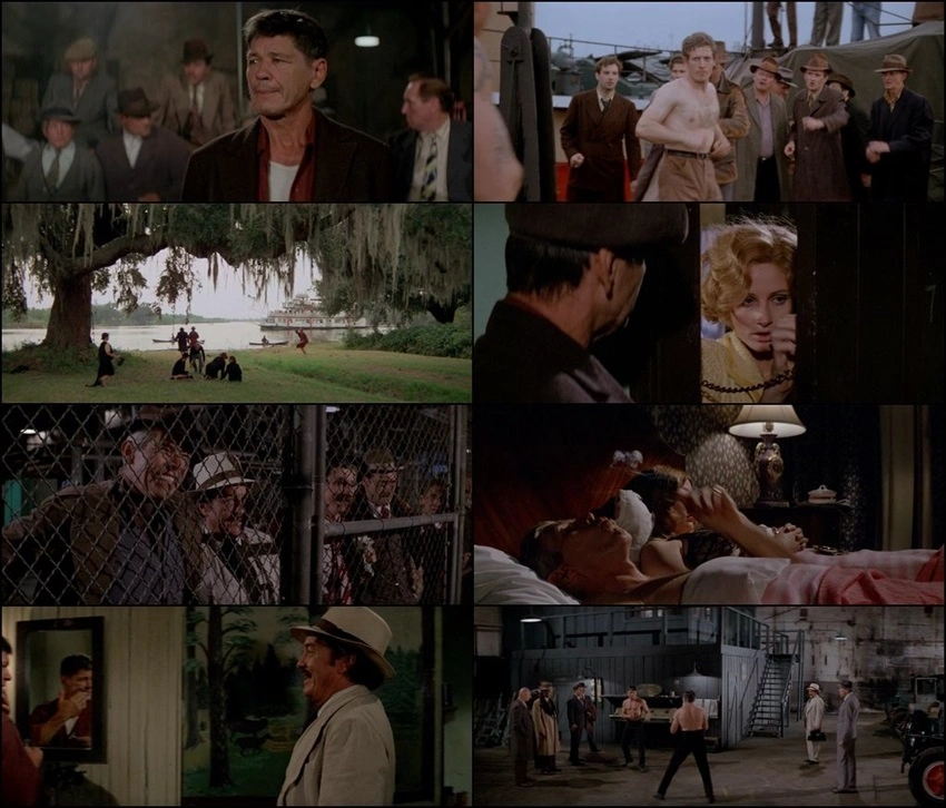 Download Hard Times (1975) Hindi & English BluRay 480p 720p 1080p