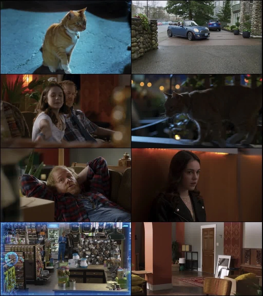 Download Cats & Dogs 3: Paws Unite (2020) Hindi & English Blu-Ray 480p 720p 1080p