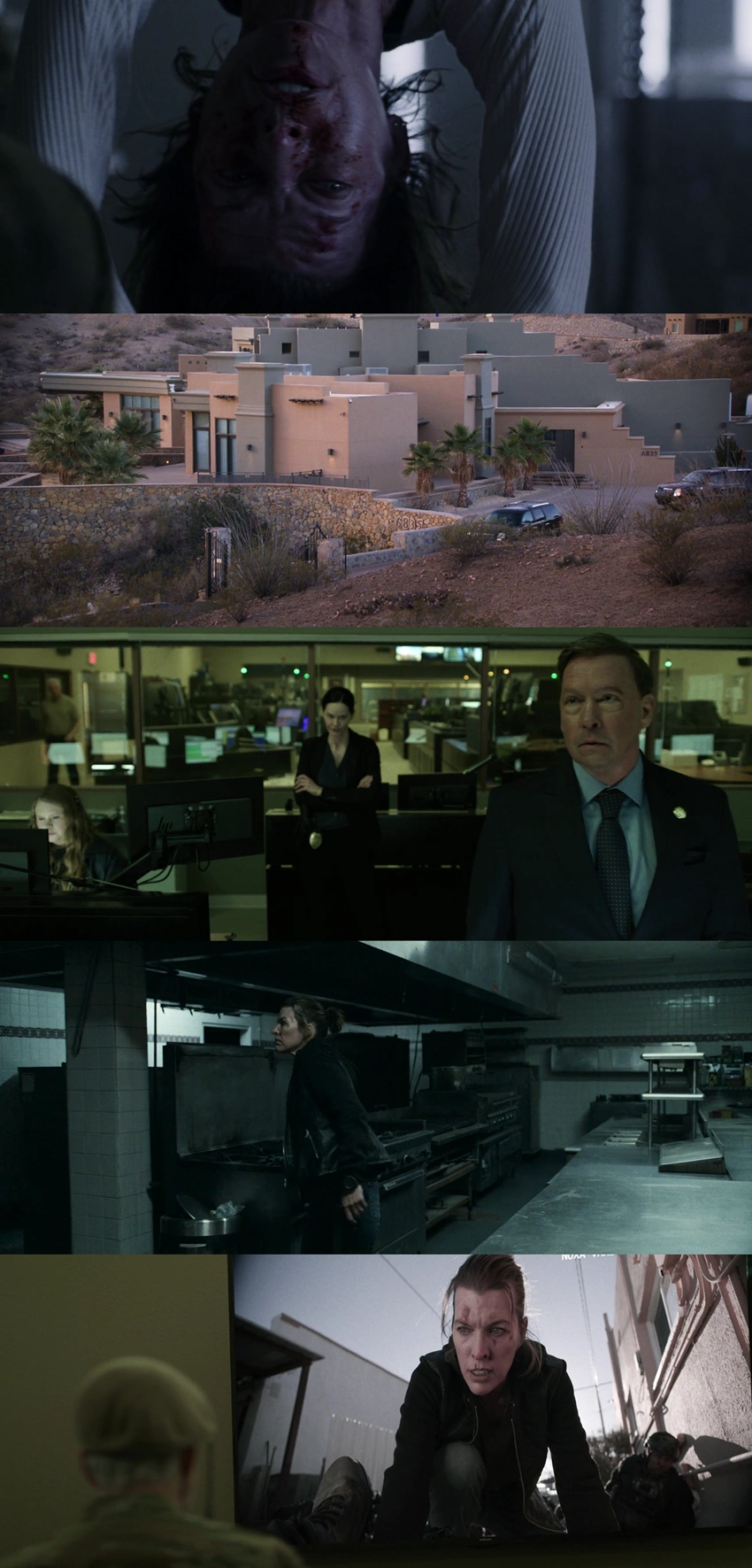 Download Protector (2026) English With Subtitles WEB-DL 480p 720p 1080p