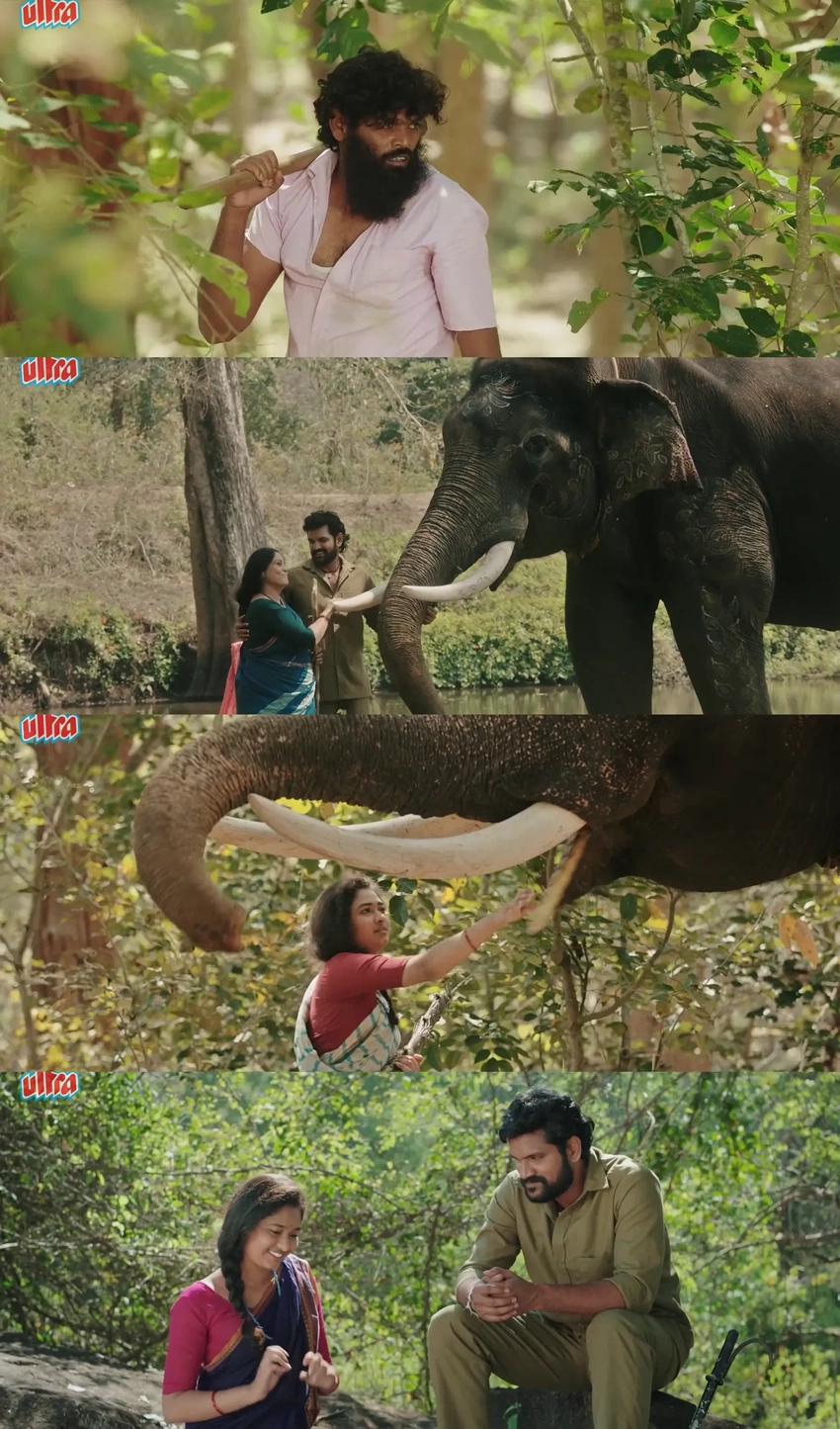 Download Mavuta (2026) Hindi (ORG 2.0) Dubbed WEB-DL 480p 720p 1080p